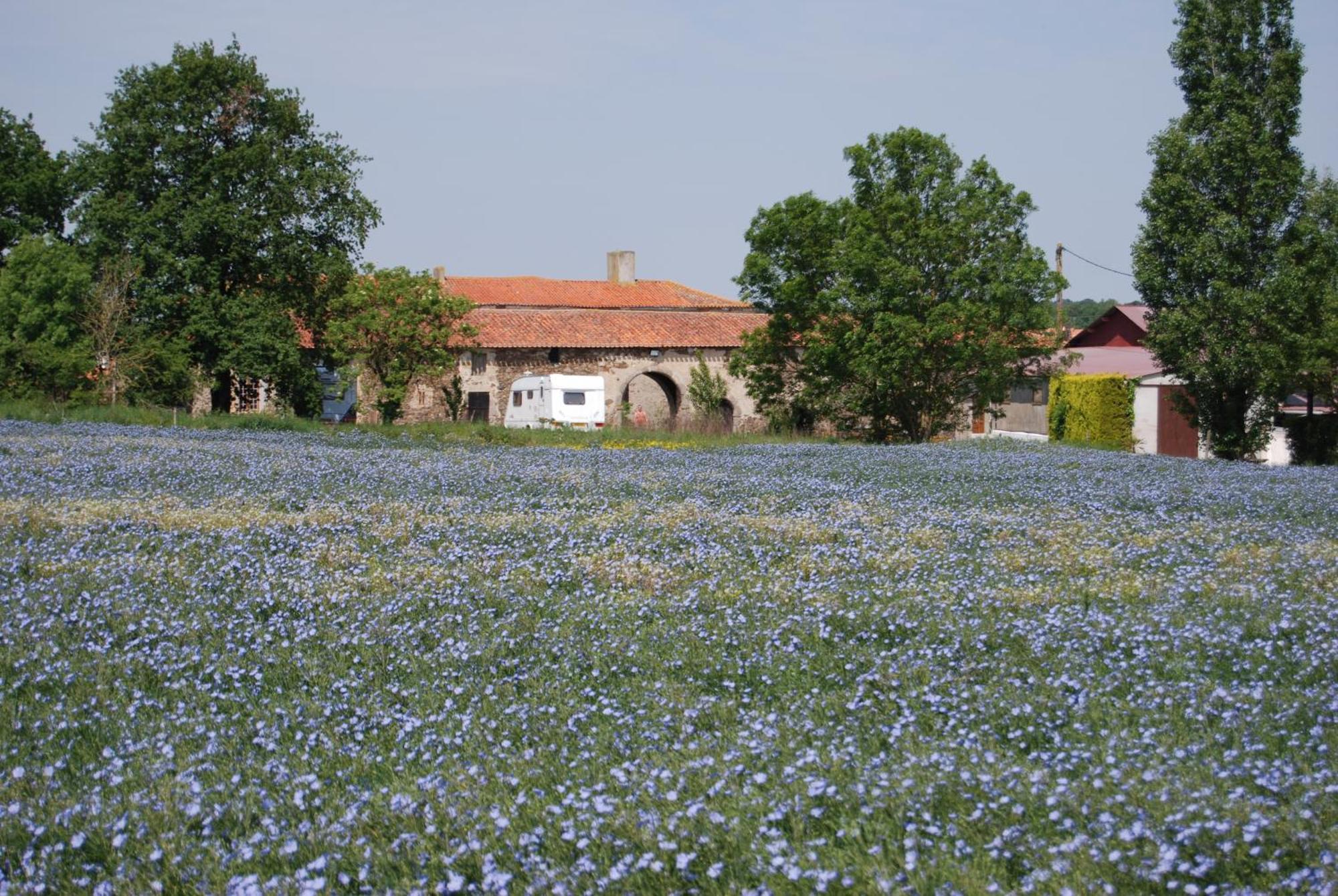 Chambre D'Hote Manoir De La Baudonniere Monsireigne Luaran gambar